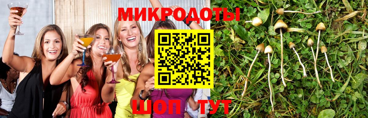 Псилоцибиновые грибы Psilocybine cubensis  Вход с VPN  Владимир 